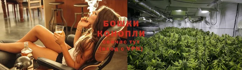 Шишки марихуана THC 21%  сколько стоит  Бабаево 